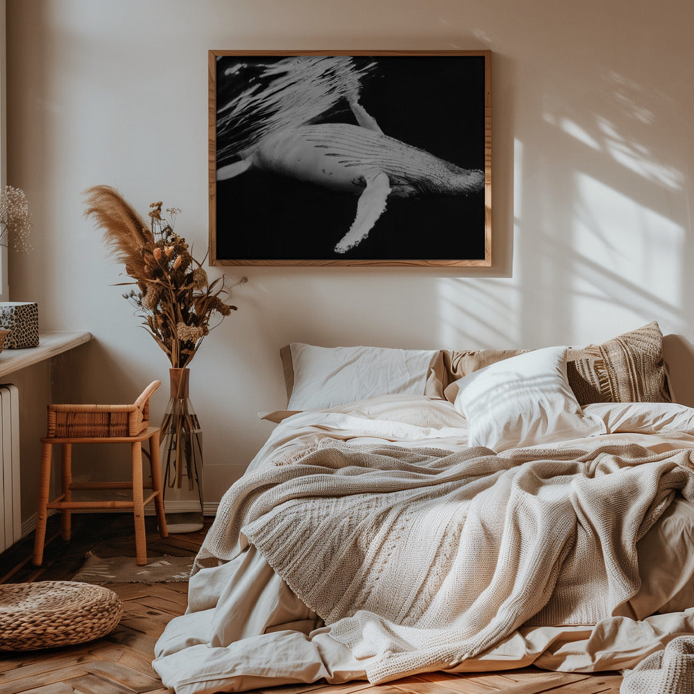 Black & Whale Poster